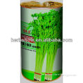 All Kinds Of Celery Seeds For Growing